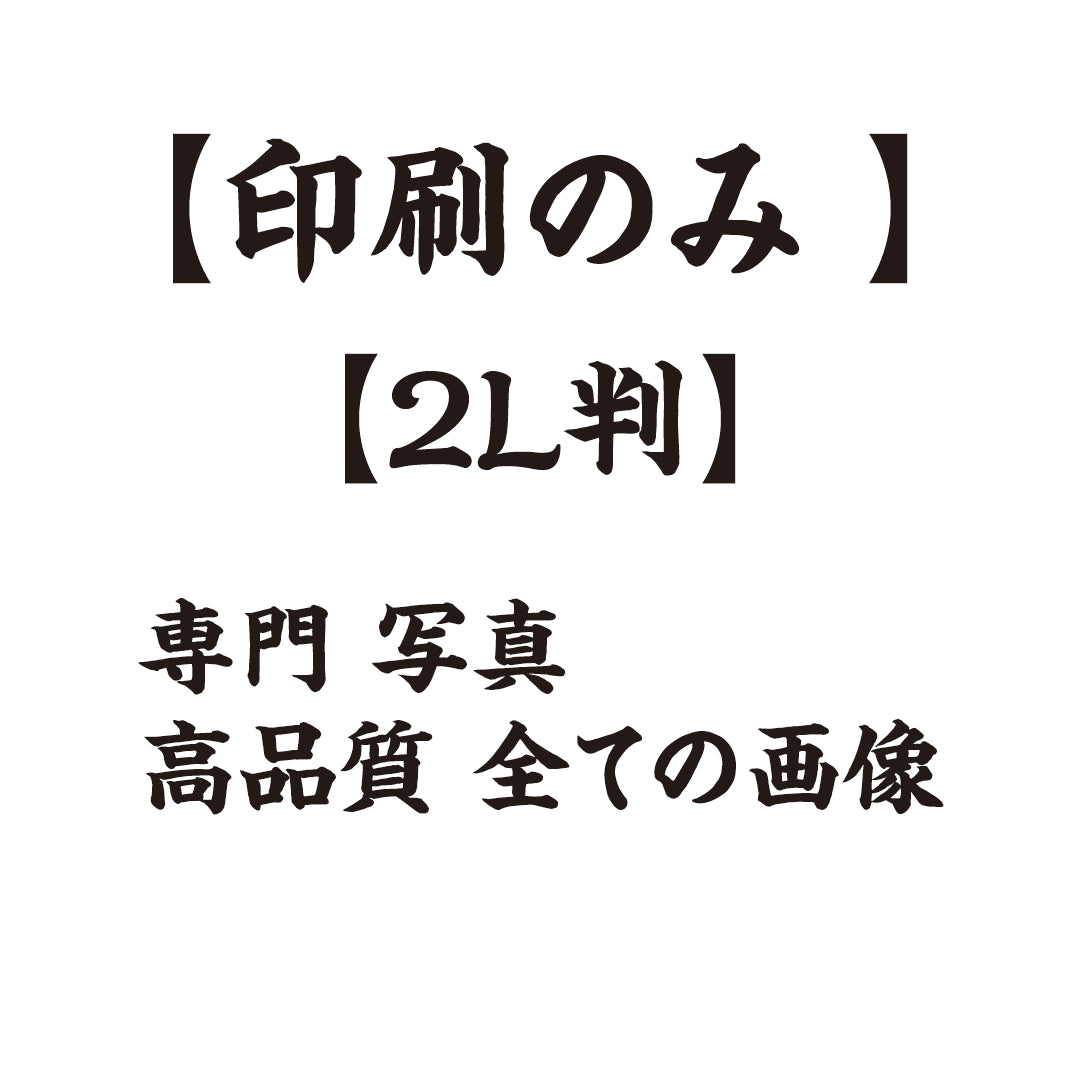 【2L判】専門 写真 高品質に 全ての画像【印刷のみ 】