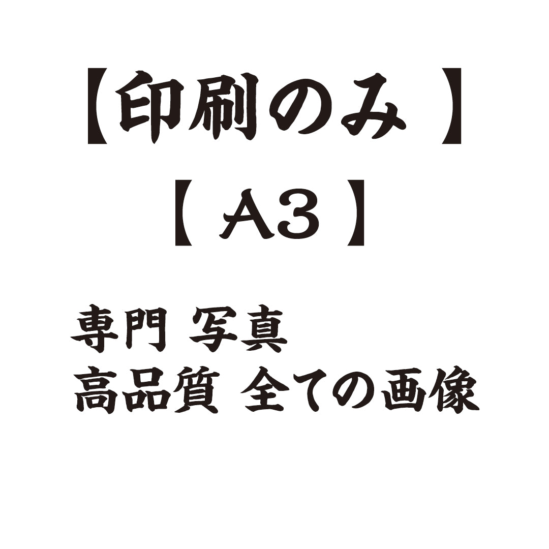 【A3】専門 写真 高品質に 全ての画像【印刷のみ 】