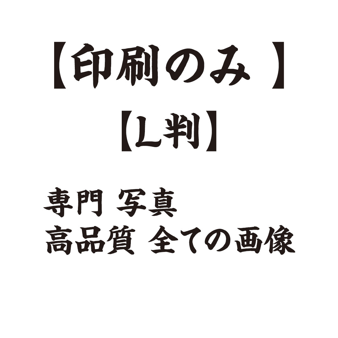 【L判】専門 写真 高品質に 全ての画像【印刷のみ 】